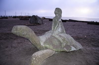 view--a girl riding a sea turtle 