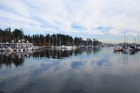 view--coal harbour 