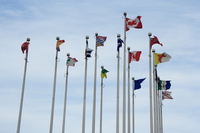 flags of 14 countries 