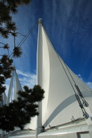 white sail of 21st century 
