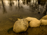 river boulder Abbotsford, British Columbia, Canada, North America