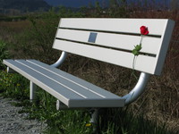 20080420172827_red_rose_and_bench