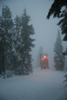 lonely red light in snow storm 