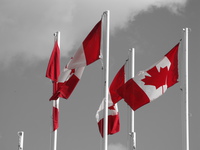 canadian flags 