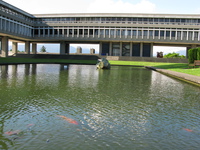 sfu fish pond 