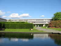 lazy afternoon in sfu 