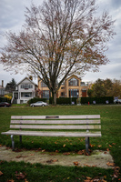 Jericho Beach Bench Abbotsdord, British Columbia, Canada, North America