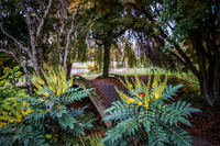 Jericho Beach Garden Abbotsdord, British Columbia, Canada, North America