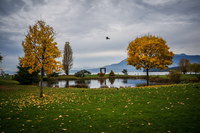 Jericho Beach autumn meadow Abbotsdord, British Columbia, Canada, North America