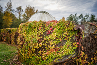 Jericho Beach telescope Abbotsdord, British Columbia, Canada, North America