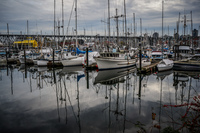 Jericho Beach yatch club Abbotsdord, British Columbia, Canada, North America