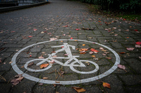 bike lane Abbotsdord, British Columbia, Canada, North America