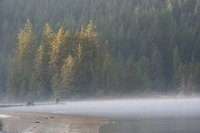 misty fisherman 