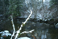 kanaka creek 