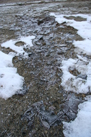 frozen ground 