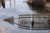 river fence 