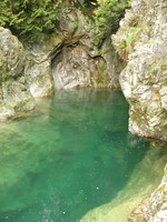 08-04-05_lynn_canyon_park