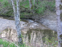 bear creek 