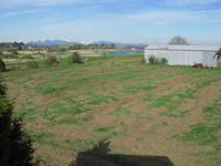 farm outside serpentine park 