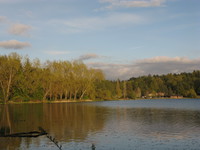 deer lake 