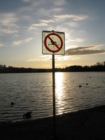 view--no swimming 