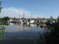 ladner harbour park 