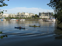 canoes near ladner harbour park 