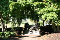 bridge near space center 