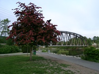 iron bridge and black raven 