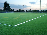 green soccer field 