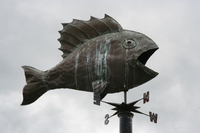 fish and wind pointer 