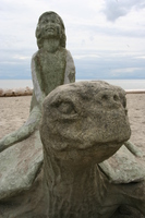 girl and sea turtle 