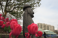 tulips and statue 