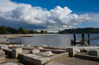 ambleside park Vancouver,  British Columbia,  Canada, North America