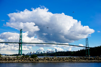 ambleside park Vancouver,  British Columbia,  Canada, North America