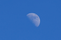 moon Vancouver,  British Columbia,  Canada, North America