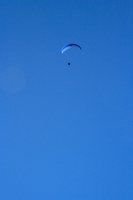 brave paraglider 
