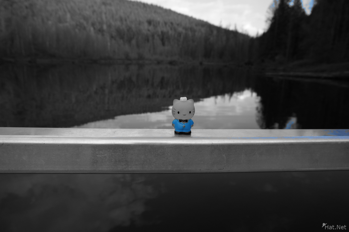 Bunzen Lake Sony Nex Hello Kitty-Blue Only