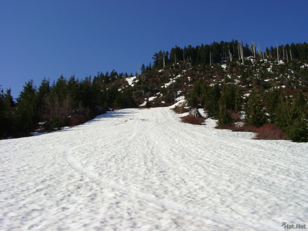 snow hill to cypress