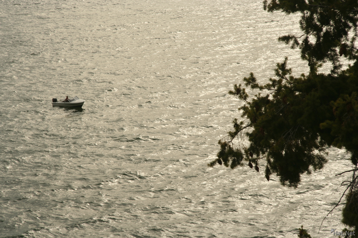 a small boat in vancouver