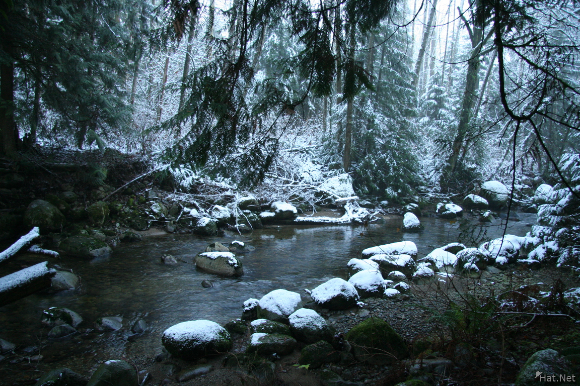 kanaka creek in winter