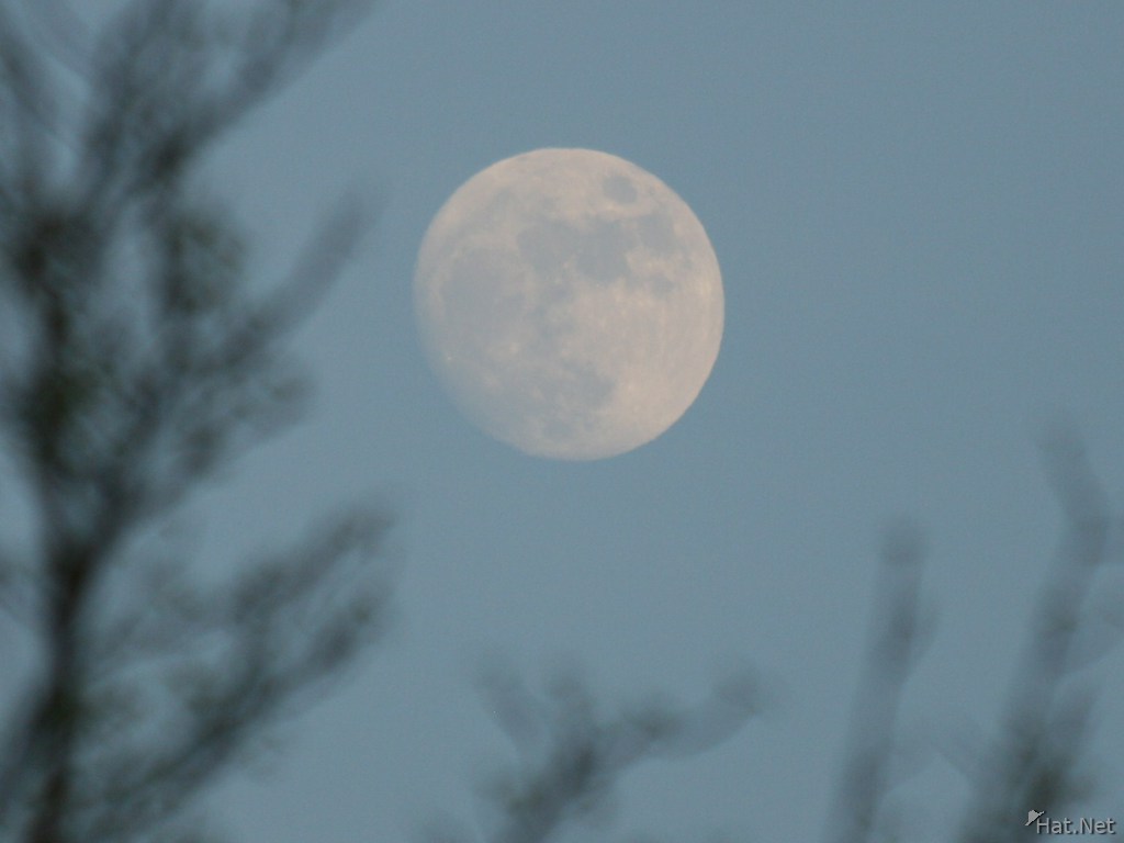 moon near willington point park