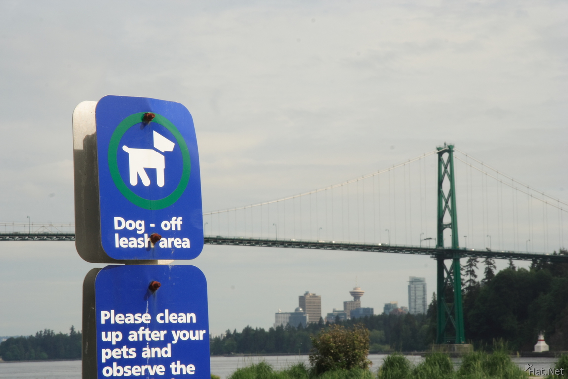 view--doggy sign and the lion gate bridge